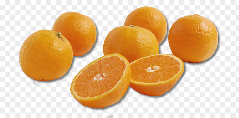 Orange Clementine Tangerine Tangelo Mandarin PNG