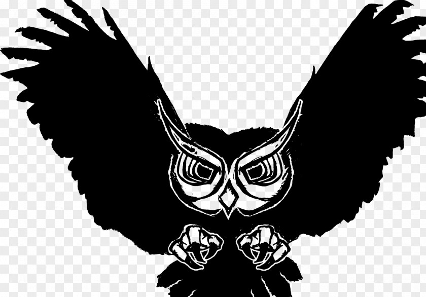 Owl Bird Black And White Desktop Wallpaper PNG