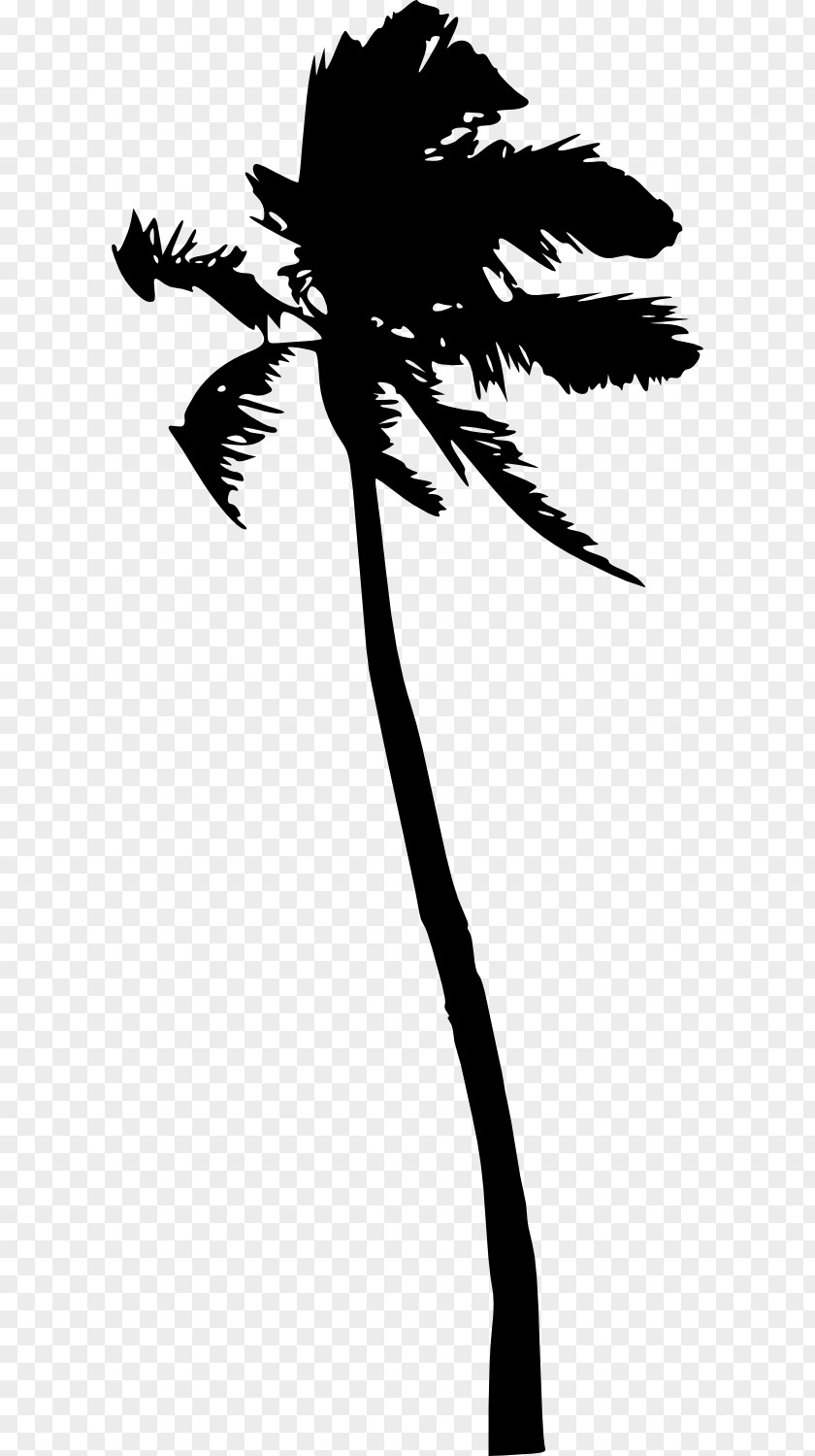 Palm Trees Silhouette Clip Art Coconut PNG