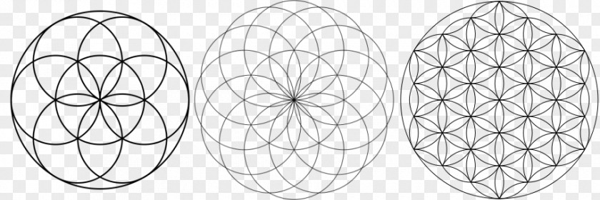 Symbol Sacred Geometry Overlapping Circles Grid PNG