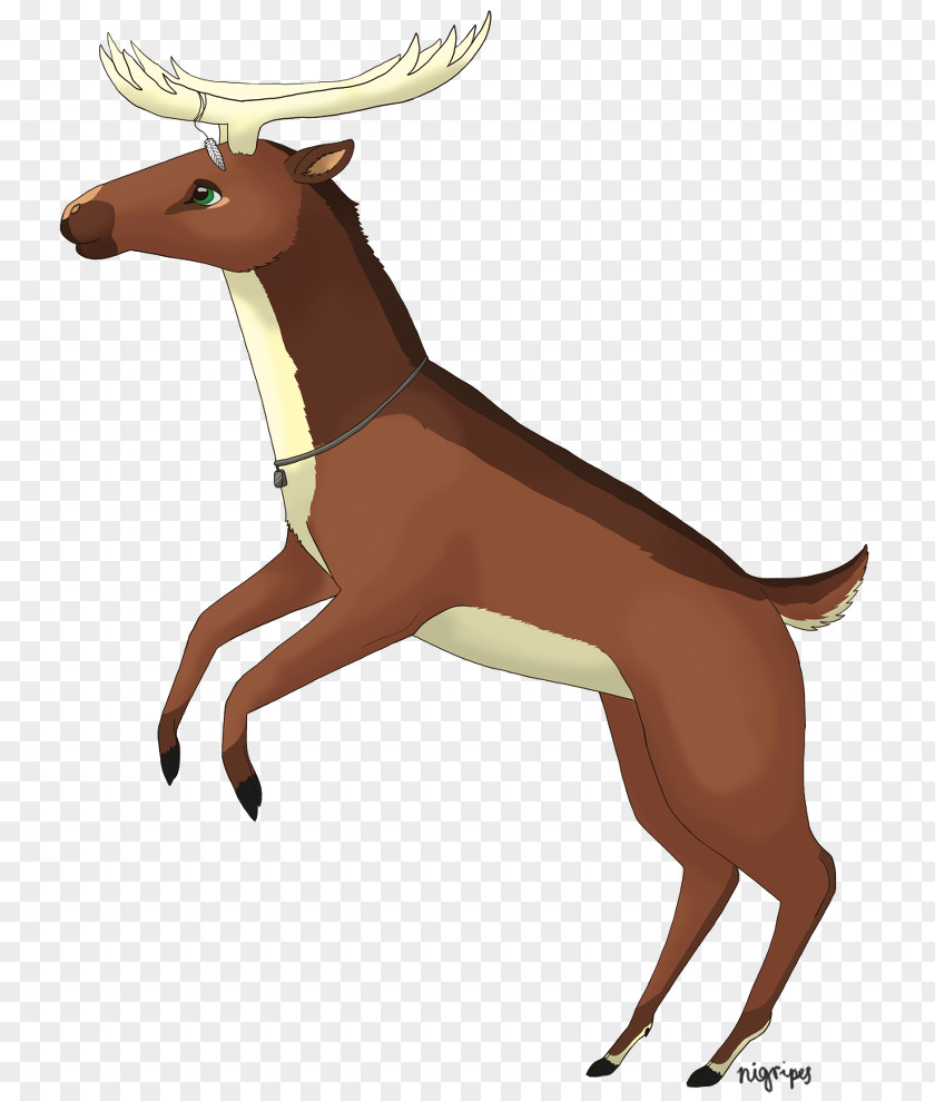 Antler Reindeer Horse Dog Mammal PNG