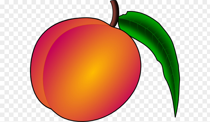 Cartoon Georgia Cliparts Peach Free Content Clip Art PNG