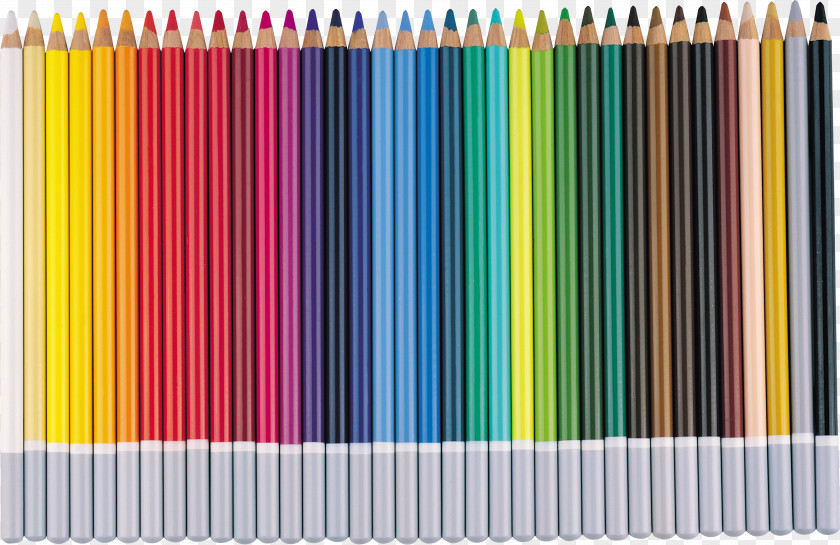 CRAYON Paper Colored Pencil Stationery PNG