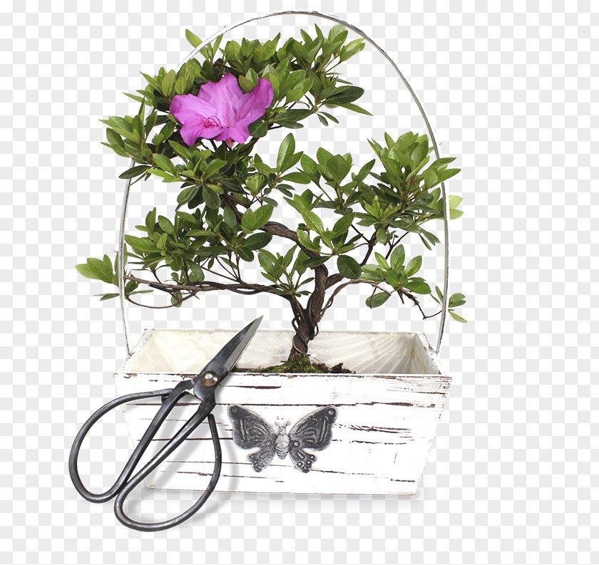 Design Cut Flowers Flowerpot Floral Houseplant PNG
