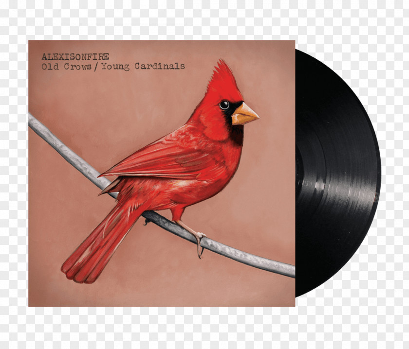 Double Twelve Posters Shading Material Old Crows / Young Cardinals Alexisonfire Post-hardcore PNG