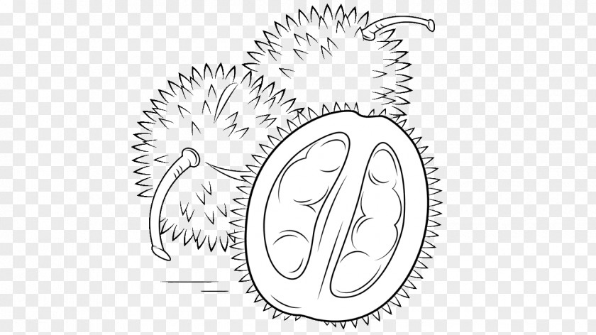 Durian Drawing Coloring Book Clip Art PNG