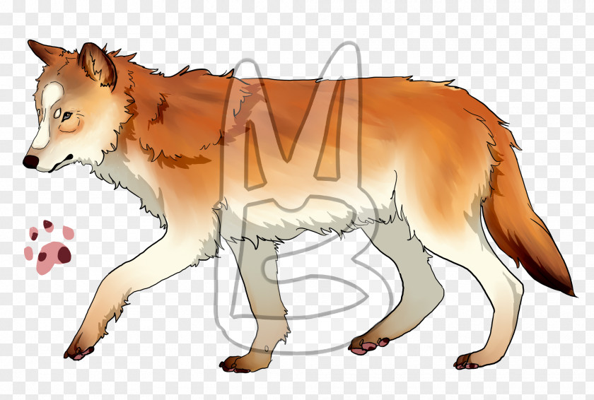 Fox Red Wolf Gray Snout PNG