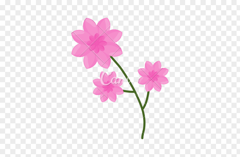 Pink Flower Flowers PNG