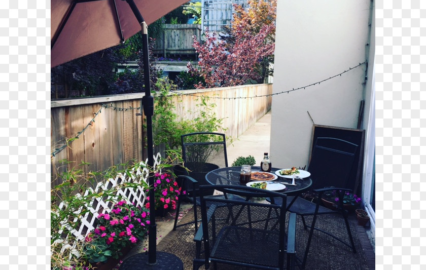 Window Backyard Patio Property Balcony PNG