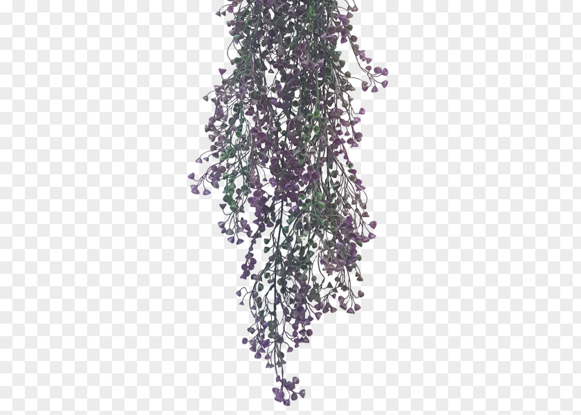 Common Lilac Shrub Color Plant PNG