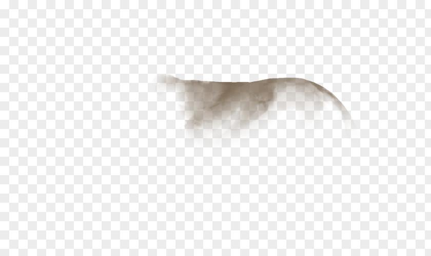 Dog Canidae Snout Fur Ear PNG