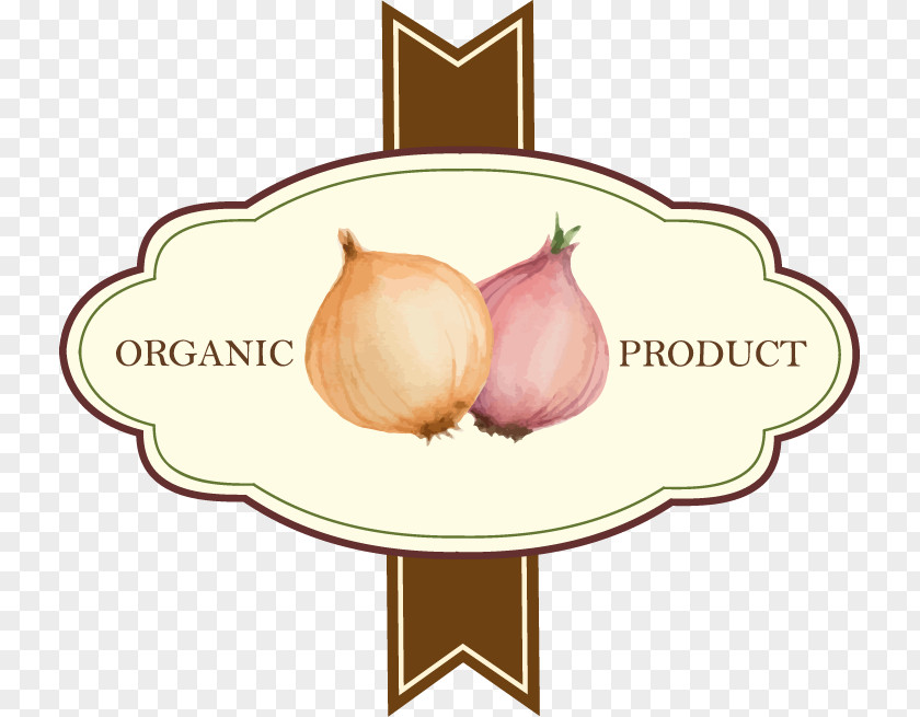 Onion Pattern Painted Streamers Vegetable Fruit Label PNG