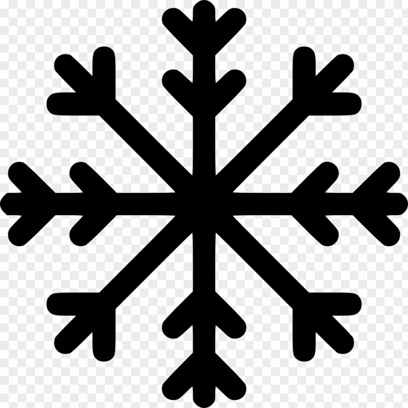 Snowflake Illustration PNG