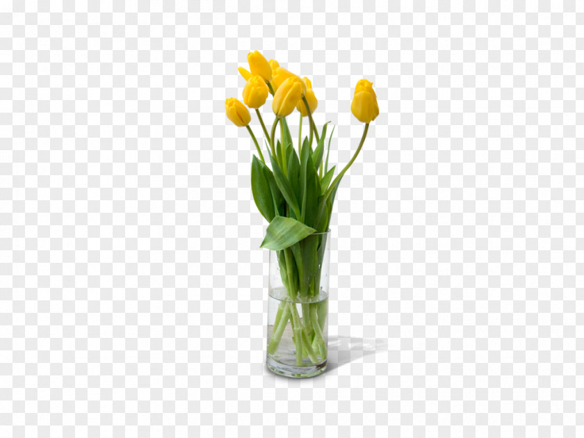 Tulip Vase Flower Computer File PNG