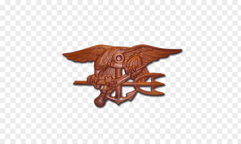 Brushes Trident Decorations United States Navy SEALs Special Warfare Insignia PNG