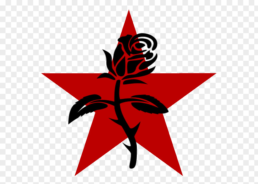 Communism Anarchism Black Rose Symbol Anarchy Anarcho-syndicalism PNG