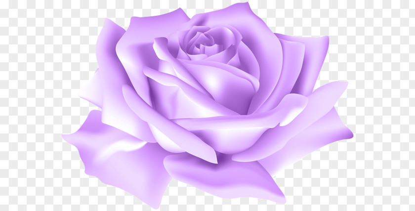 Purple Rose Blue Flower Clip Art PNG