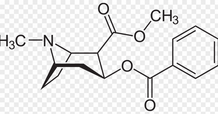 Erythroxylum Coca Tropane Alkaloid Cocaine PNG coca alkaloid Cocaine, Tous Les Jours clipart PNG