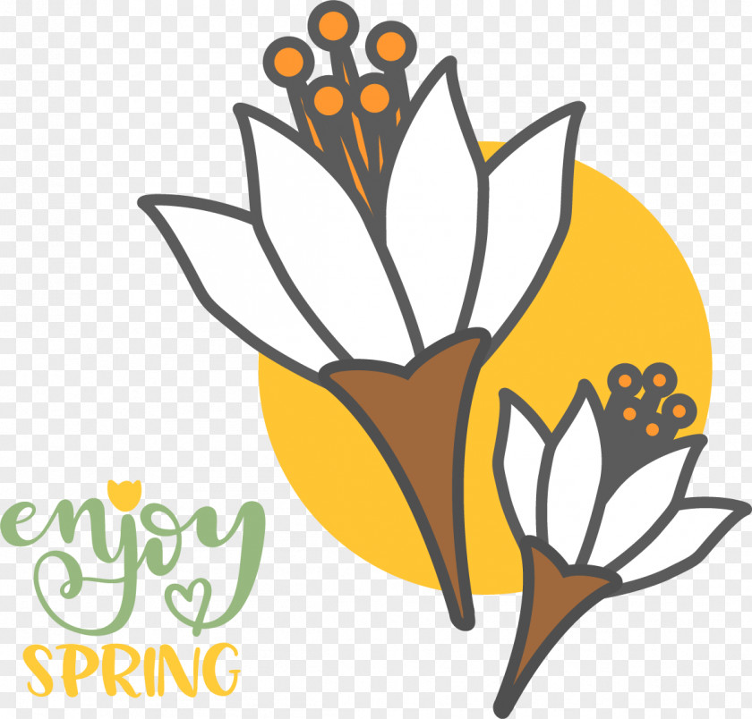 Floral Design PNG