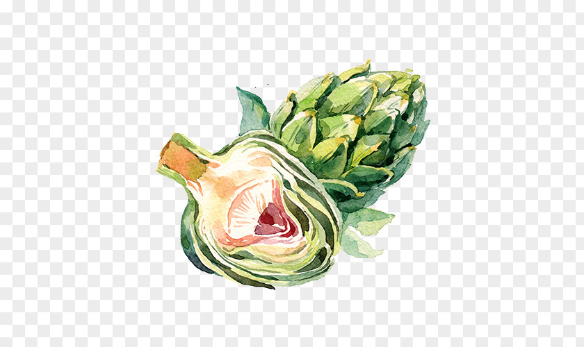 Painting Organic Food Watercolor PNG