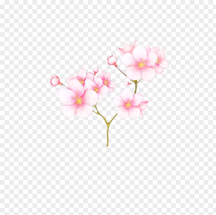 Plum Flower Gratis Clip Art PNG