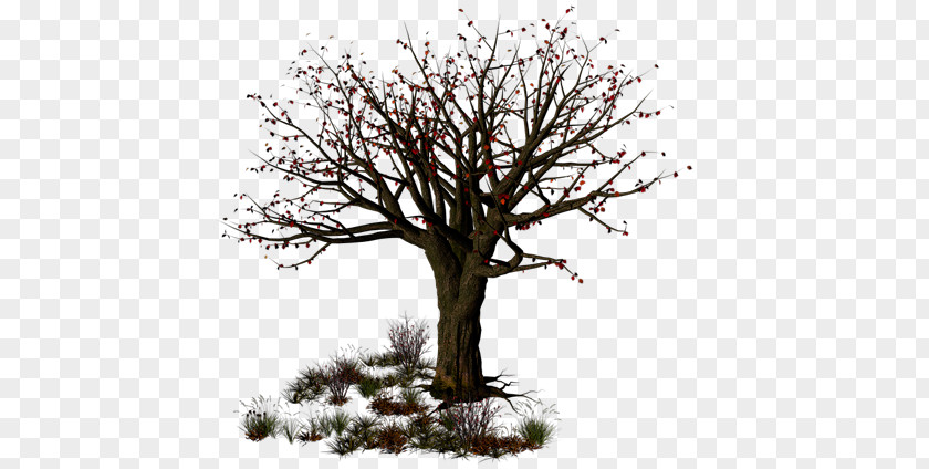 The Halloween Tree 3D Computer Graphics Clip Art PNG