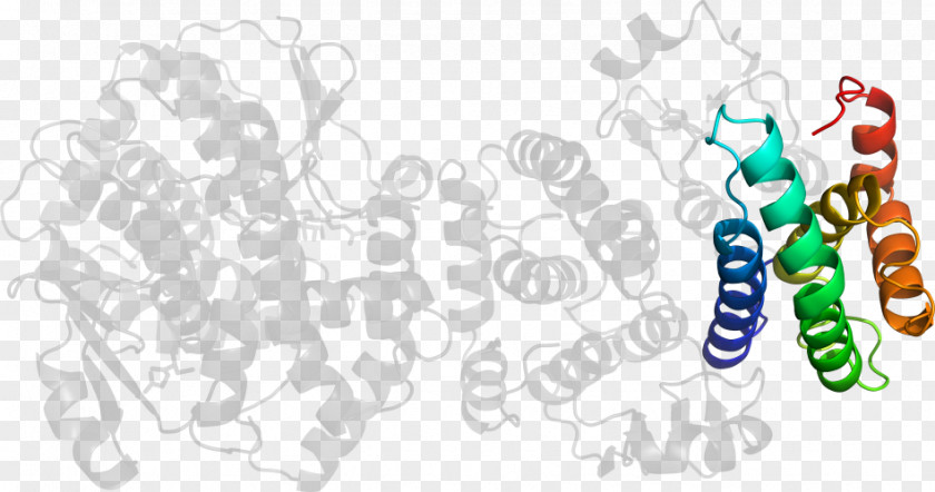 Design Human Behavior Organism Clip Art PNG