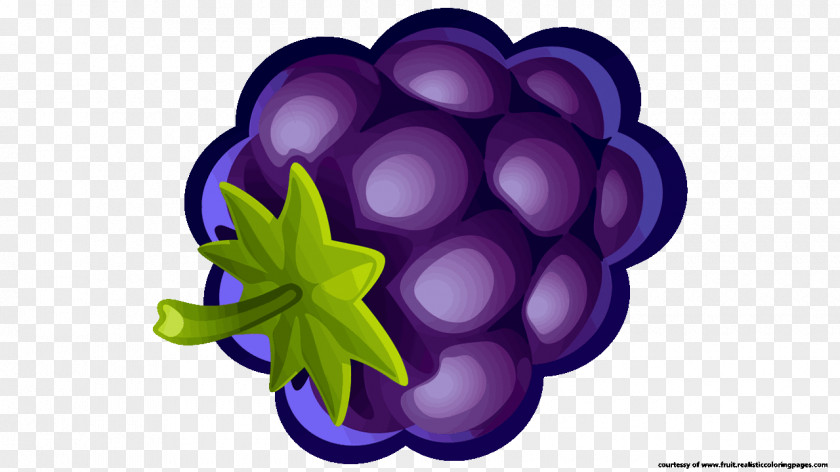 Grape Blueberry Pie Muffin Clip Art PNG