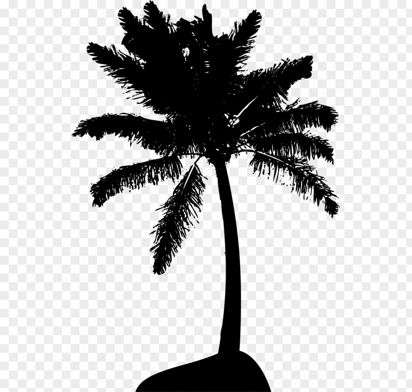 Overlooking The Coconut Tree Arecaceae Royalty-free Clip Art PNG