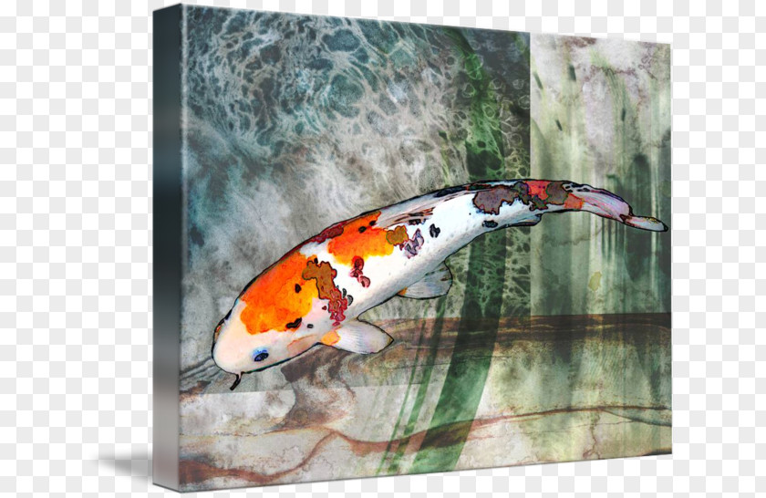 Watercolored Taisho Sanshoku Fish Pond Gallery Wrap Canvas PNG