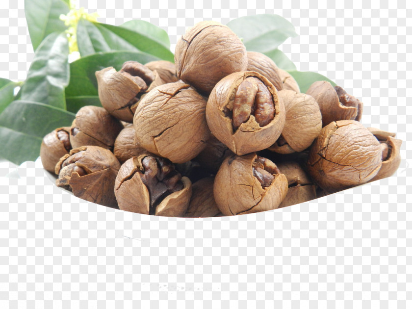 A Walnut Juglans Pecan Oil Cooking PNG