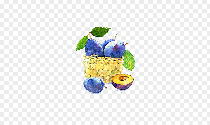Blueberry Fruit Baskets Watercolor Painting Auglis PNG