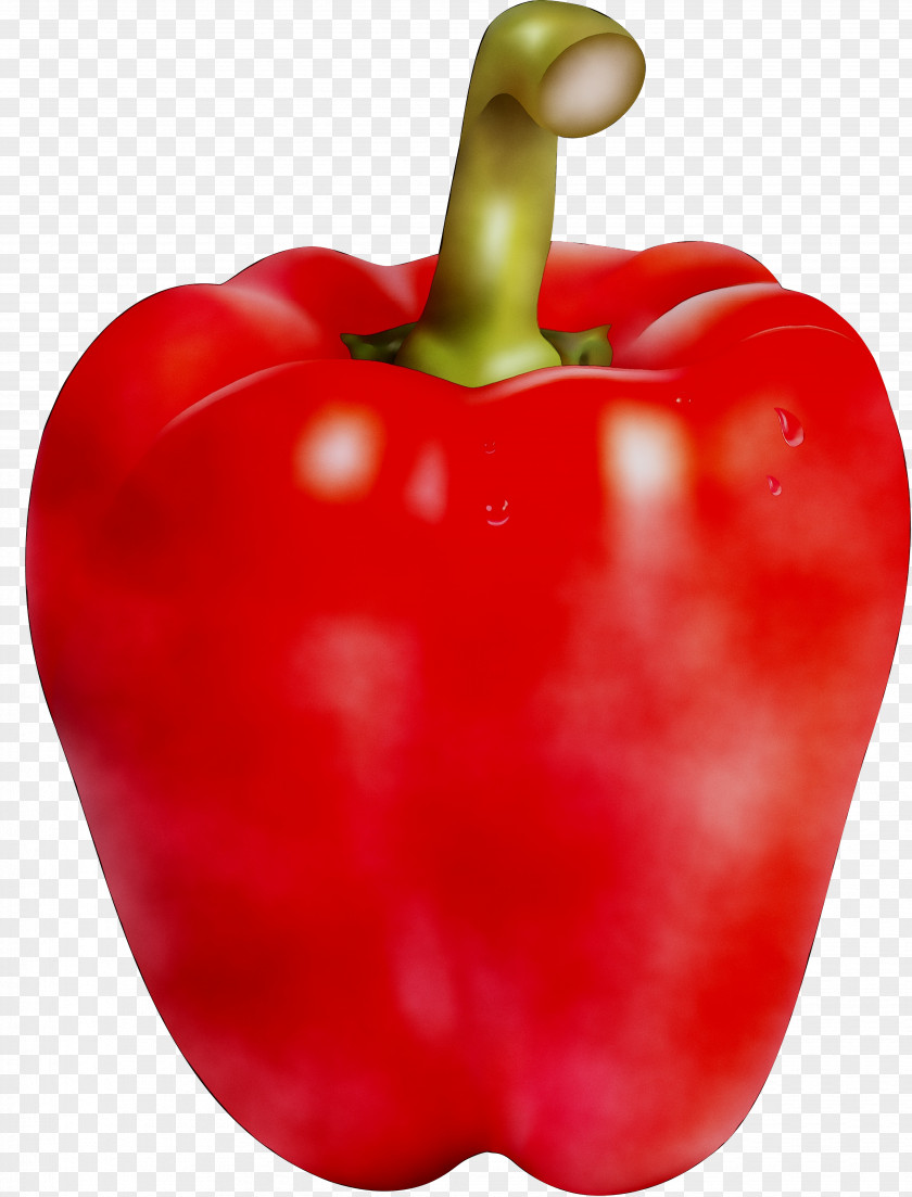 Chili Pepper Yellow Cayenne Pimiento Bell PNG