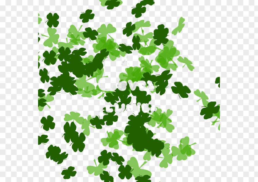 Clover Messy Picture Material Ink Brush PNG
