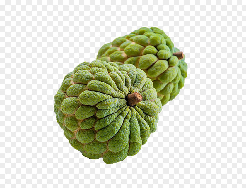 Custard Apple Annona Sugar-apple Custard-apple Sugar PNG