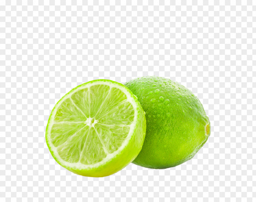 Lemon Key Lime Fruit Persian PNG