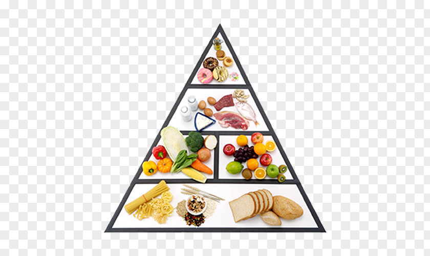Nutrition Pyramid Food Healthy Eating Diet PNG