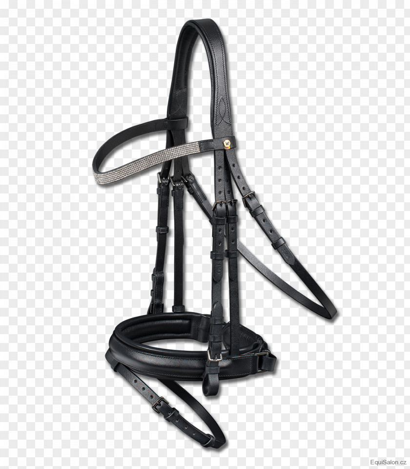 Oxford Horse Bridle Rein Noseband Equestrian PNG