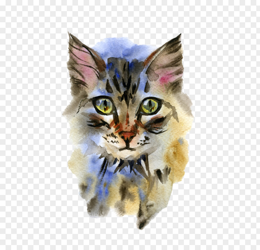 Pet Grooming Maine Coon Siamese Cat Drawing Illustration Watercolor Painting PNG