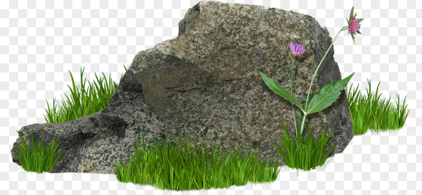 Weeds And Stones Rock Clip Art PNG