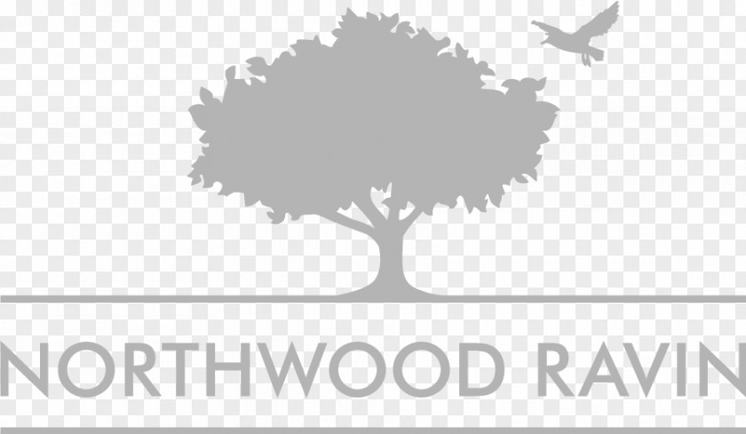 Apartment Charlotte Northwood Ravin Logo Real Estate PNG