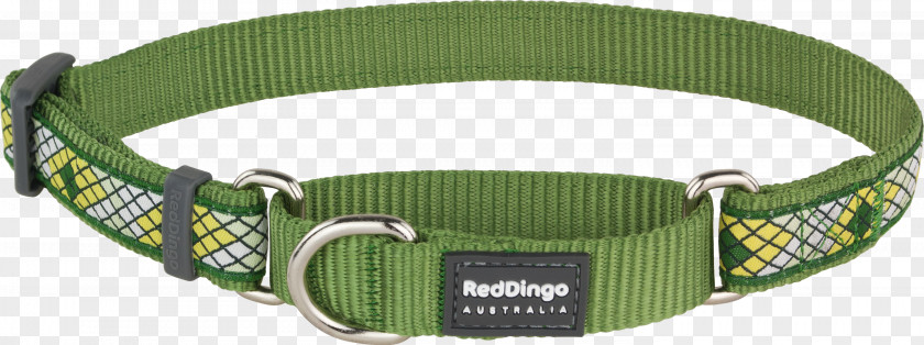 Dog Collar Dingo Martingale PNG