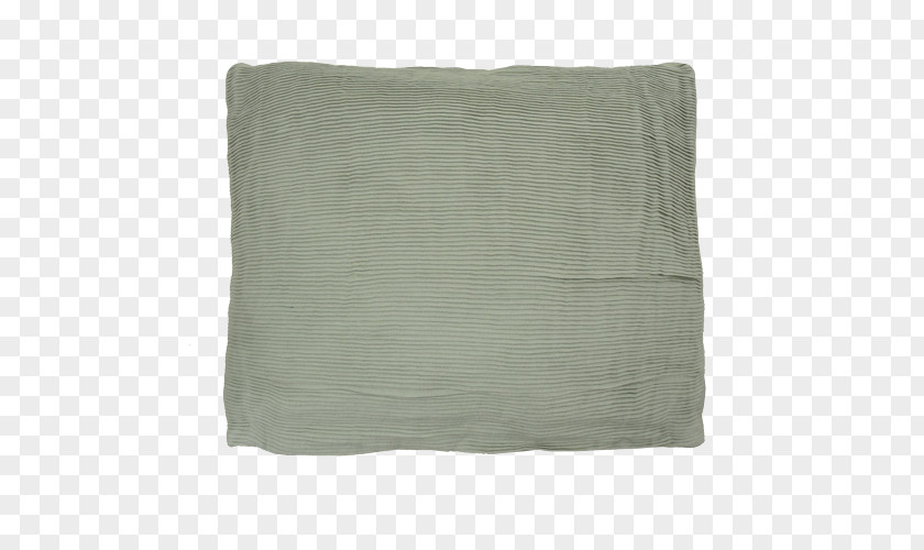 Mint Green Throw Pillows Rectangle Brown PNG