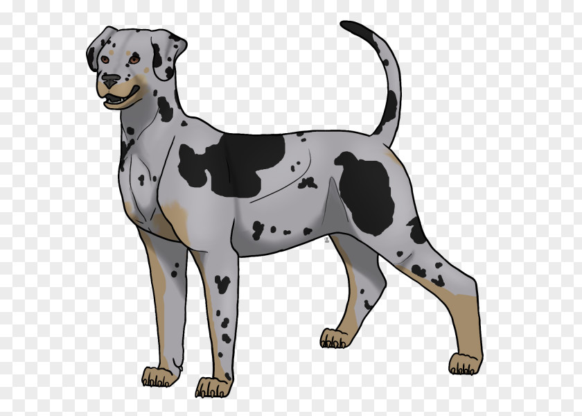Blair Brown Dalmatian Dog Breed Non-sporting Group Paw PNG