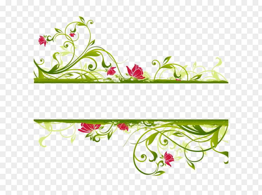 Elegant Green Background Flower Clip Art PNG