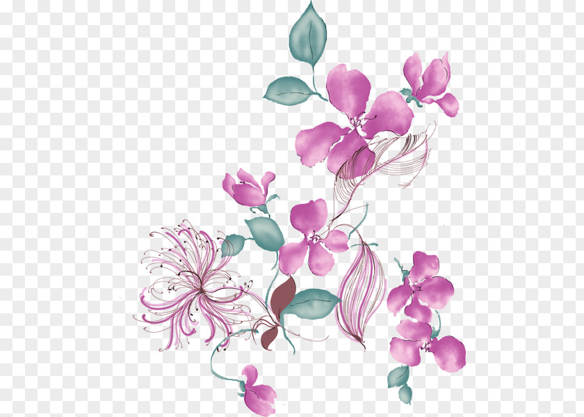 Flower Drawing Photography Petal Desktop Wallpaper PNG