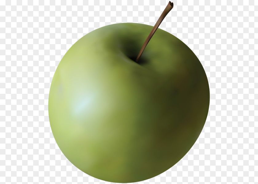 Apple Clip Art Green Granny Smith Stock.xchng PNG
