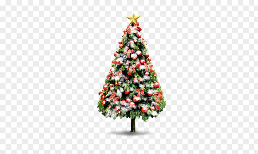 Cartoon Christmas Tree Santa Claus Decoration Ornament Gift PNG