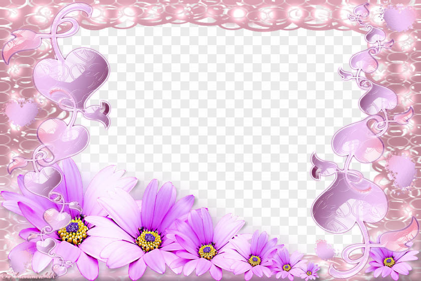 Photo Frame In Picture Frames PNG