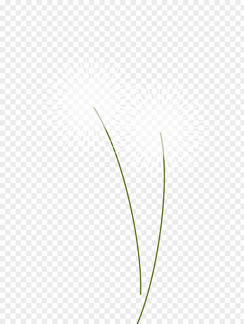 Vector Cartoon Dandelion Material Angle Pattern PNG